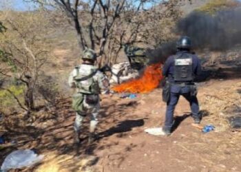 SSP desactiva 12 artefactos explosivos y desmantela campamento ilícito en Buenavista