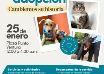 IMPA invita a cambiar una vida con la Primera Jornada de Adopción de lomitos y michis