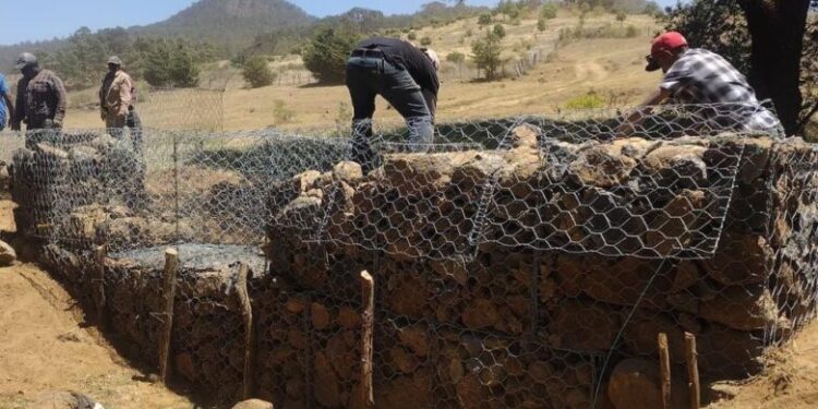 En 2 años, más de 2 mil familias impulsaron rescate del lago de Pátzcuaro: Secma