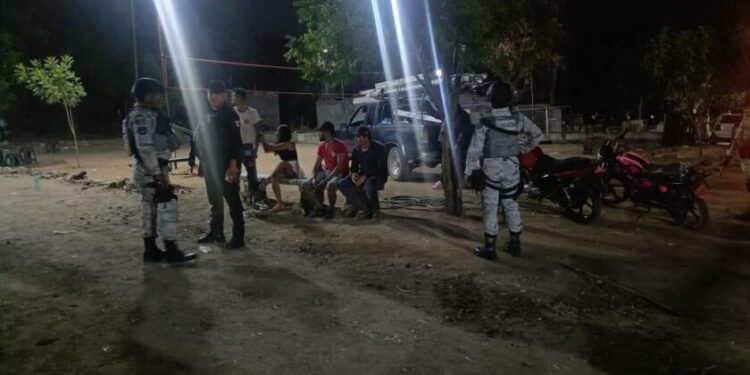 SSP desactiva palenque clandestino en Apatzingán