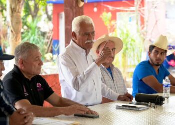 Detectan primer caso aislado de gusano barrenador en Villa Madero: Sader