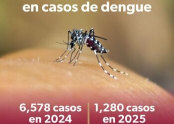 En 2025, Michoacán registró 81 % menos casos de dengue: SSM
