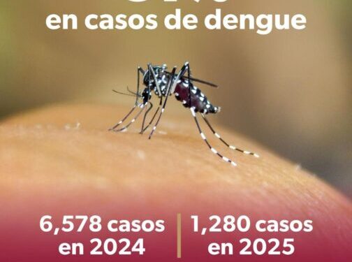 En 2025, Michoacán registró 81 % menos casos de dengue: SSM