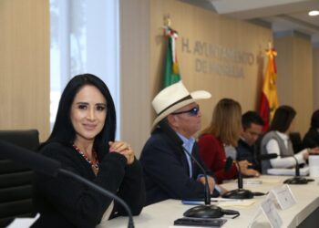 La voz perredista en la capital: El papel del PRD en Morelia bajo la dirección de Lucila Martínez
