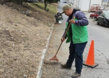 Brigadas de Servicios Públicos refuerzan poda y limpieza en vialidades de Morelia