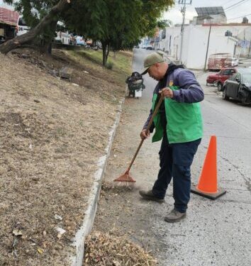 Brigadas de Servicios Públicos refuerzan poda y limpieza en vialidades de Morelia