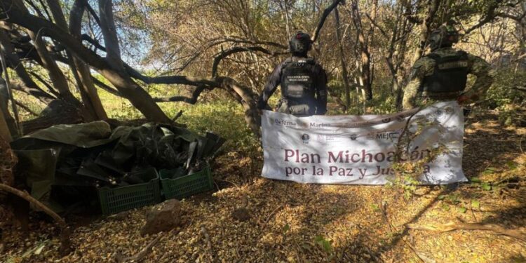 SSP desactiva 48 artefactos explosivos improvisados en Apatzingán