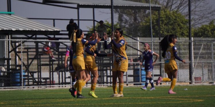 30 de enero, equipos del Atlético Morelia-UMSNH regresan a la actividad de la Liga TDP