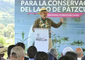 Recuperadas 500 hectáreas de superficie del lago de Pátzcuaro: Bedolla