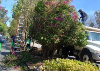 Gobierno Municipal interviene y mejora los espacios públicos de Morelia