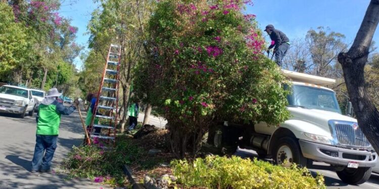 Gobierno Municipal interviene y mejora los espacios públicos de Morelia