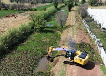 Se retirarán 240 mil metros cúbicos desazolve del lago de Pátzcuaro en 2026: Rogelio Zarazúa