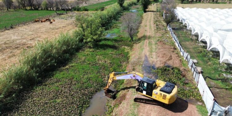 Se retirarán 240 mil metros cúbicos desazolve del lago de Pátzcuaro en 2026: Rogelio Zarazúa