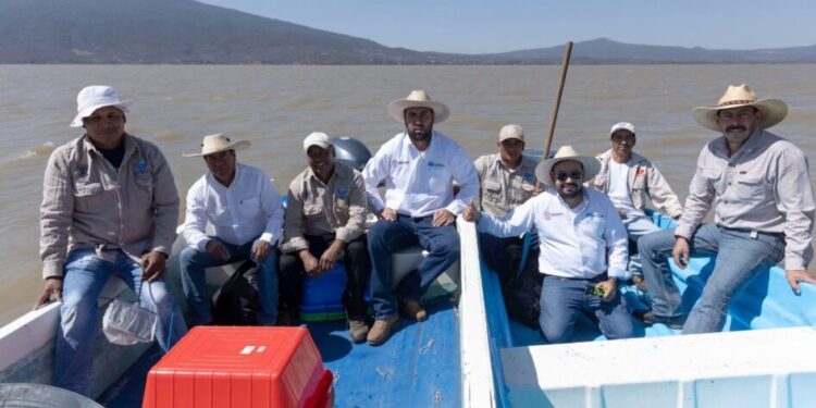 Michoacán busca sembrar vida con 200 mil peces nativos en el lago de Pátzcuaro