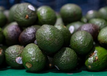 Aguacate michoacano llegará al Super Bowl con sello ambiental