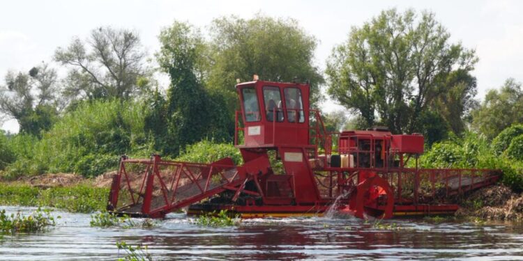 Empleo temporal y limpieza integral marcan la ruta para rescate del lago de Pátzcuaro: Compesca