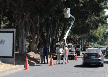 Alfonso Martínez llama a cuidar entre todos los espacios públicos