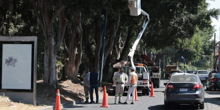Alfonso Martínez llama a cuidar entre todos los espacios públicos