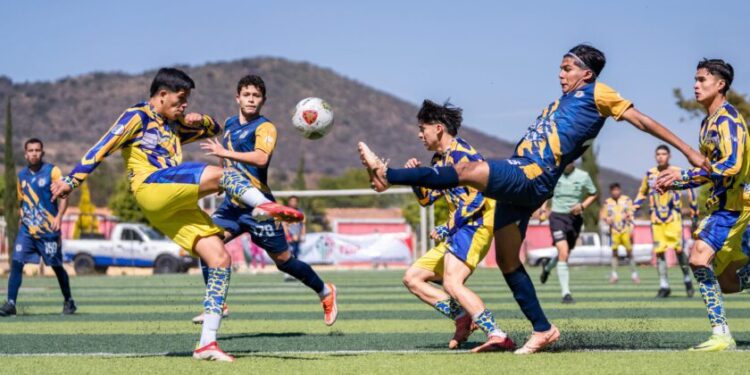 Equipos del Atlético Morelia-UMSNH imponen récords de victorias