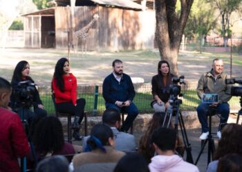 Bodas masivas, pícnic, arte y cultura; así será el megafestejo del amor en Michoacán
