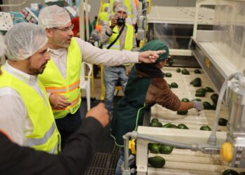 Celebra Bedolla reforma que reduce a 40 horas la jornada laboral; paso decisivo a la justicia social en Michoacán