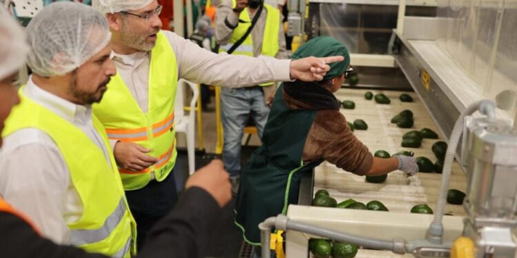 Celebra Bedolla reforma que reduce a 40 horas la jornada laboral; paso decisivo a la justicia social en Michoacán