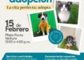 El Impa invita a la 2ª Jornada de Adopción, este fin de semana