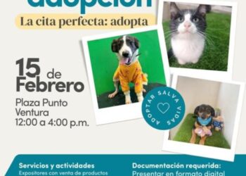 El Impa invita a la 2ª Jornada de Adopción, este fin de semana