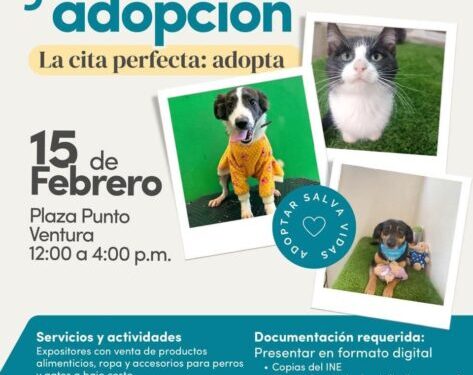 El Impa invita a la 2ª Jornada de Adopción, este fin de semana