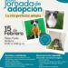 El Impa invita a la 2ª Jornada de Adopción, este fin de semana