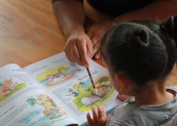 Ofrece DIF Morelia formación inicial Montessori: Paola Delgadillo