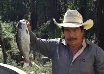 Con apoyo del Gobierno de Morelia, productores piscícolas se preparan para la cuaresma