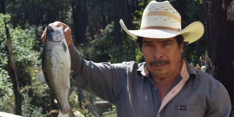 Con apoyo del Gobierno de Morelia, productores piscícolas se preparan para la cuaresma