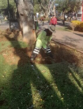 Gobierno de Morelia embellece espacios públicos con atención a sus áreas verdes