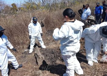 FGE continúa con acciones de búsqueda forense en el Cerro de la Cruz, en Jacona