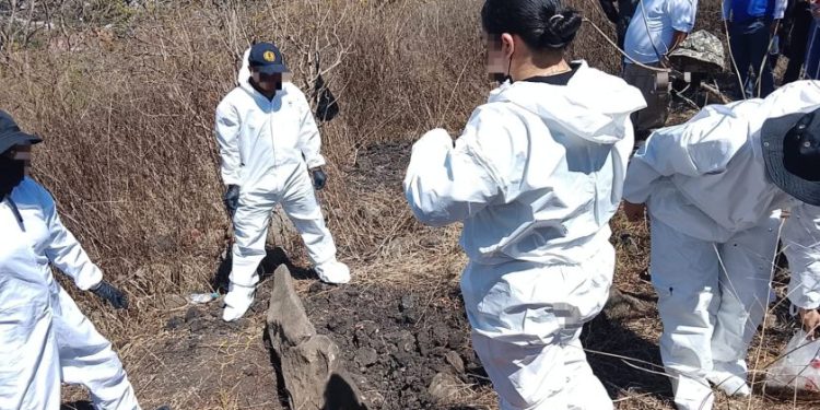 FGE continúa con acciones de búsqueda forense en el Cerro de la Cruz, en Jacona