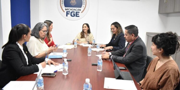 Coordinación interinstitucional para fortalecer la protección de niñas, niños y adolescentes en Michoacán: CTP