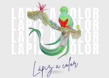 El Colegio de Morelia lanza opciones de talleres y cursos innovadores