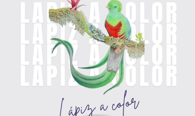 El Colegio de Morelia lanza opciones de talleres y cursos innovadores