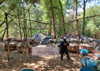 En operativo interinstitucional, SSP desactiva laboratorio de droga en Arteaga