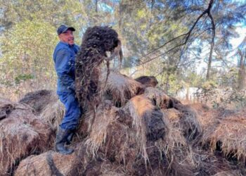 Jornada intensiva en Cointzio mejora la infraestructura hídrica de Morelia: Adolfo Torres