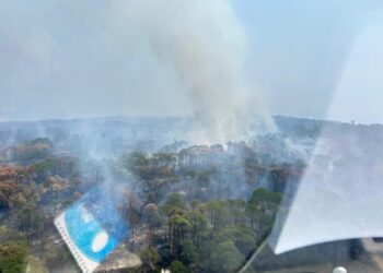 Controlado el 90 % del incendio forestal en el Área Natural Protegida de Tzitzio