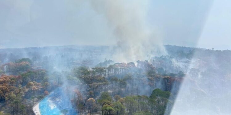 Controlado el 90 % del incendio forestal en el Área Natural Protegida de Tzitzio