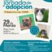El IMPA invita a la Jornada de adopción “Primavera con amor”