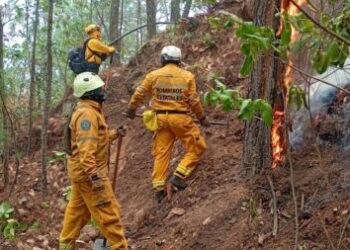 Incendio en Área Natural Protegida de Tzitzio, controlado al 100 %