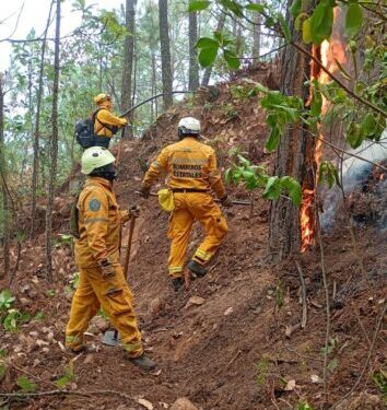Incendio en Área Natural Protegida de Tzitzio, controlado al 100 %