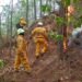 Incendio en Área Natural Protegida de Tzitzio, controlado al 100 %