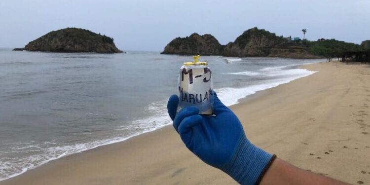 Vacaciones seguras: Playas de Michoacán listas para Semana Santa