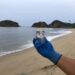 Vacaciones seguras: Playas de Michoacán listas para Semana Santa