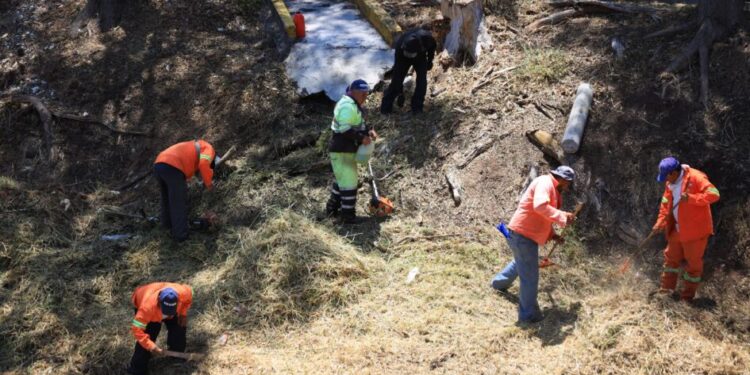 Gobierno de Morelia interviene áreas verdes y espacios públicos del Río Chiquito y Bulevar García de León